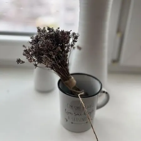 Appartement Utulny V Centre Mesta *