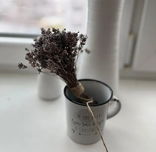 Daire Utulny V Centre Mesta *